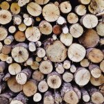 Verpackungen aus Holz finden sich besonders im...