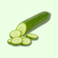 Frisch Salatgurken Stück