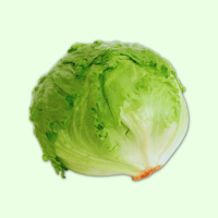 Frisch Eisbergsalat Stück